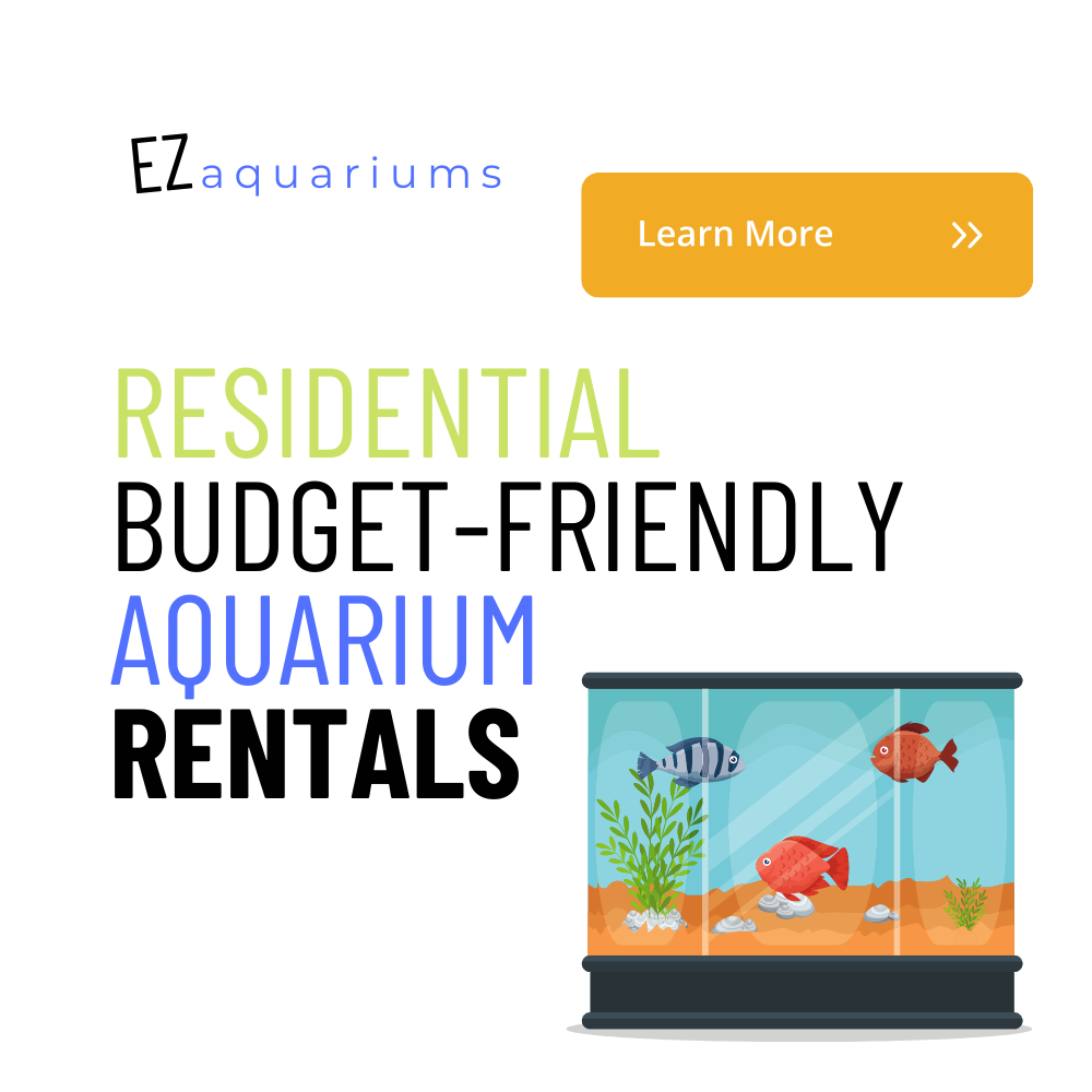 Rent Aquarium in Milton Ontario, Aquarium services, Rental, aquarium